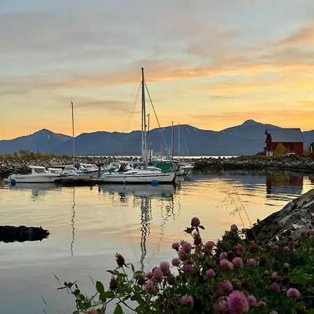 Aurora-ready Cozy Appartement